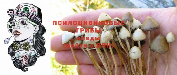 синтетический гашиш Заволжье