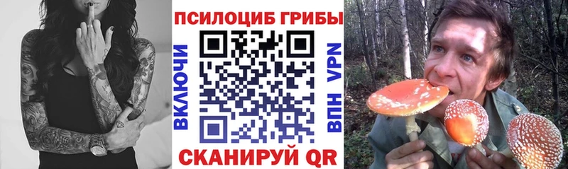 kraken   Зея  Галлюциногенные грибы мухоморы  продажа наркотиков 